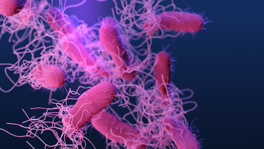 NIH Investigates Multidrug-resistant Bacterium Emerging  In Community Settings