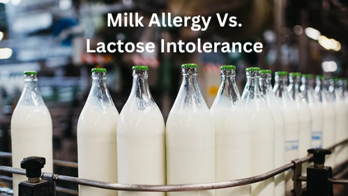 Dị ứng sữa Vs. Không dung nạp Lactose