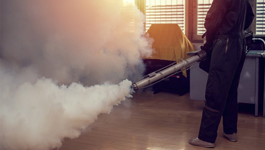 Ghi nhận 172 ca mắc sốt xuất huyết, Hà Nội xây dựng 3 tình huống ứng phó